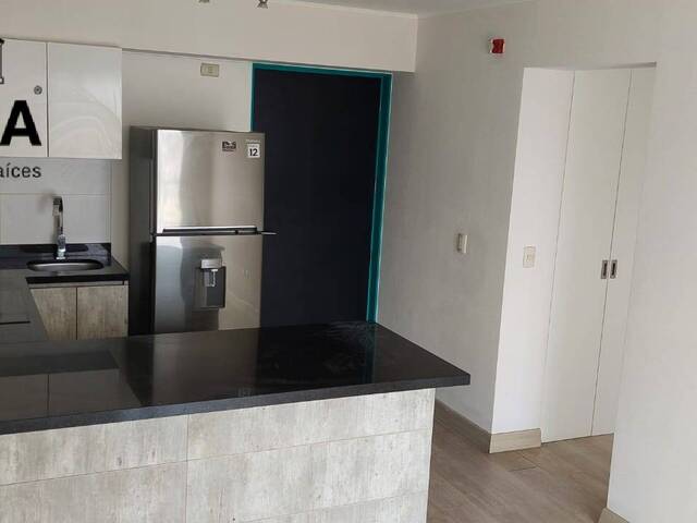 #482 - Departamento para Alquiler en Lima - LIM