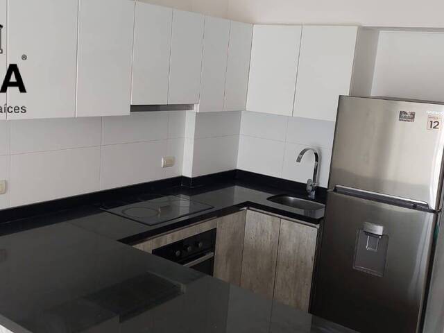#482 - Departamento para Alquiler en Lima - LIM